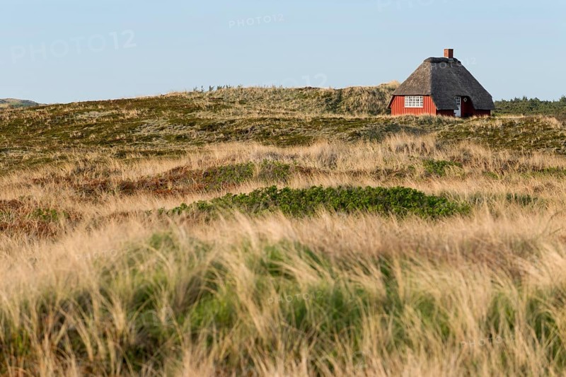 Thatched cottage surrounded by beachgrass