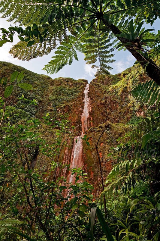 Chutes du Carbet