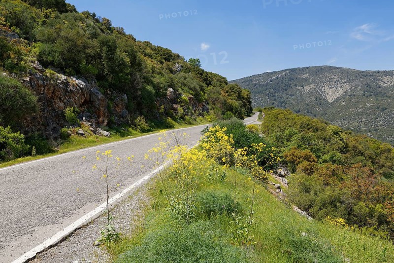 Road to Termessos