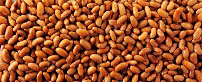 Borlotti beans