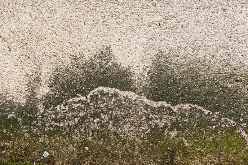 Texture