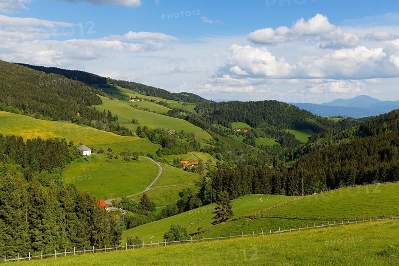 Cultivated landscape
