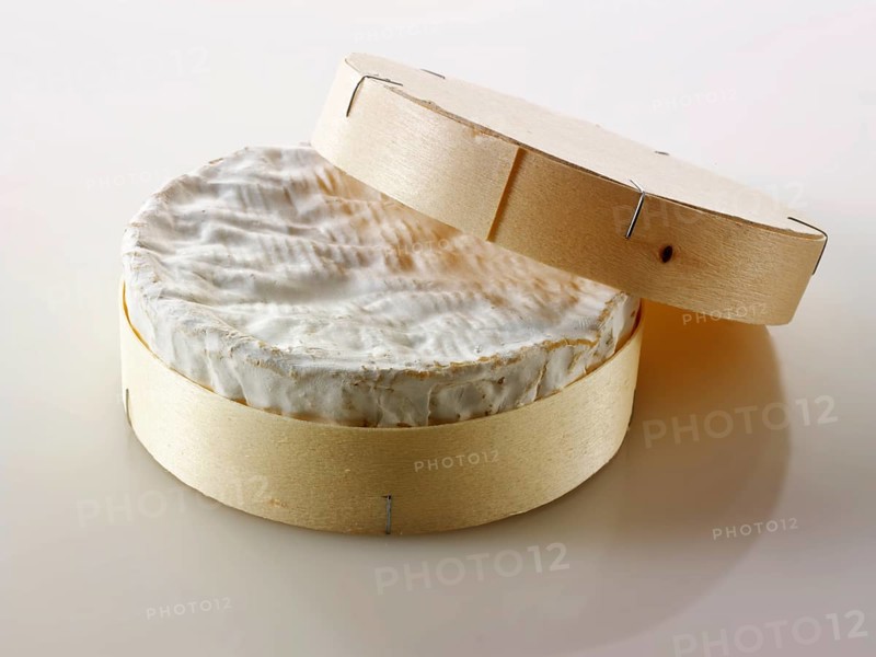 French Camembert