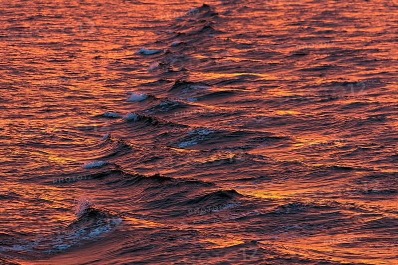 Bow waves in the evening light