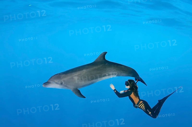 Freediver and Bottlenose dolphin (Tursiops truncatus)