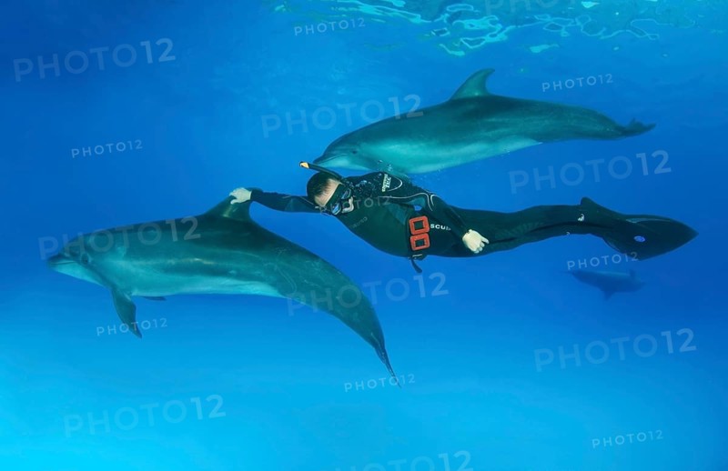 Freediver and Bottlenose dolphins (Tursiops truncatus)