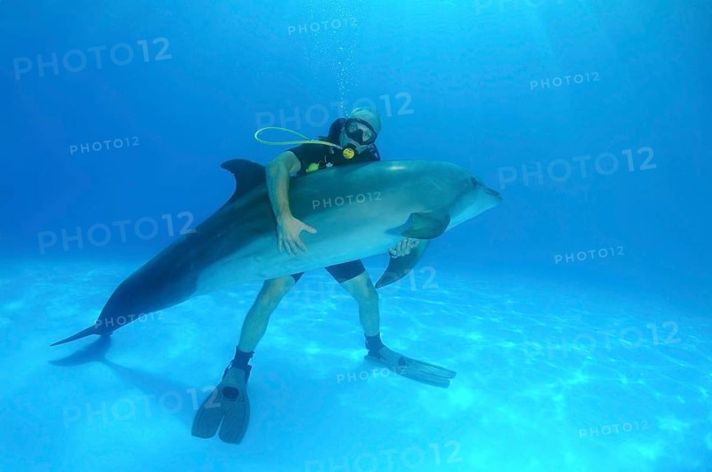 Scuba diver hugging a Bottlenose Dolphin (Tursiops truncatus)