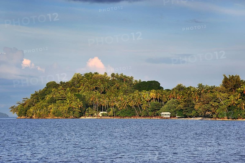 Kri island with palm trees in the Dampier Strait