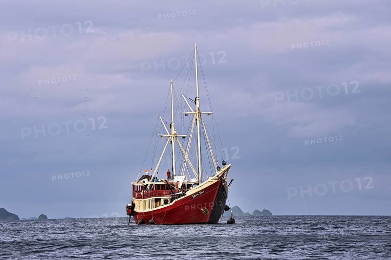 Divers ship 'Seven Seas Liveaboard'