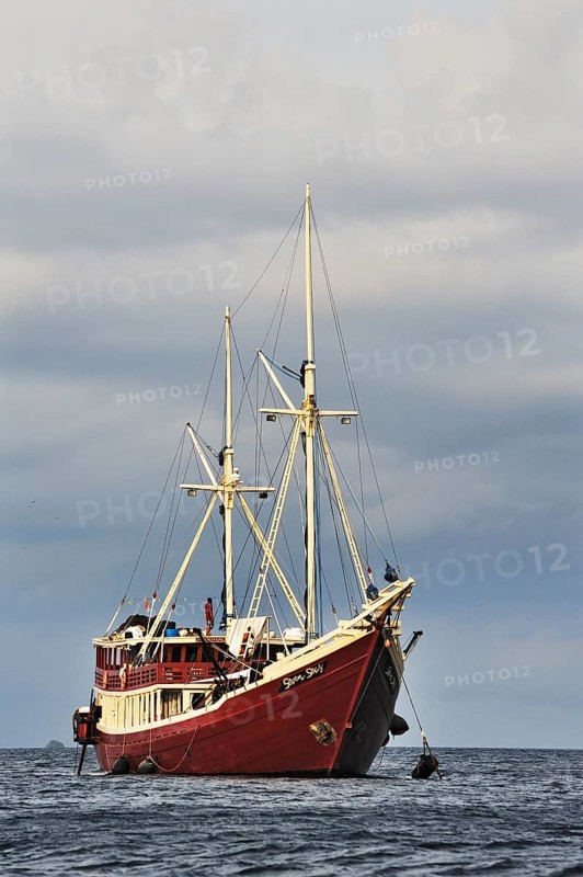 Divers ship 'Seven Seas Liveaboard'