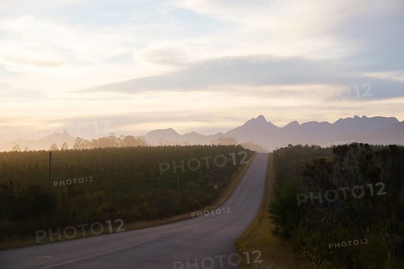 Country road at dusk