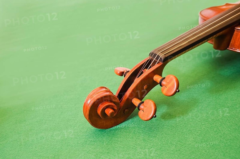 Violin