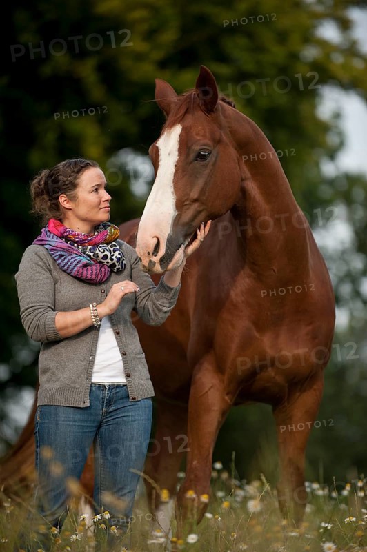 Woman standing next to a Hanoverian horse in a meadow