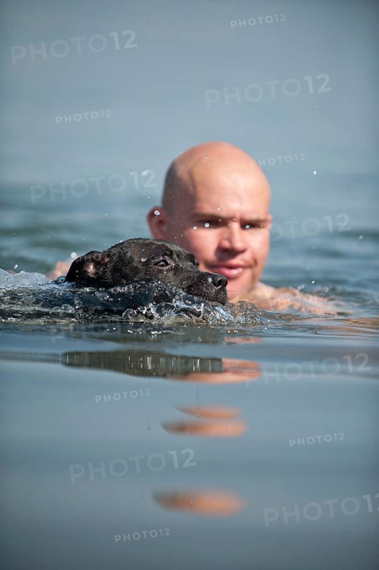 A man and a dog swimming in a lake