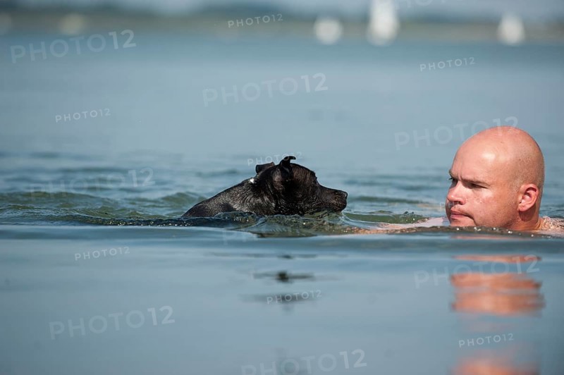 A man and a dog swimming in a lake