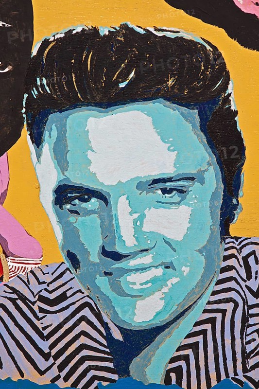 Painted portrait of Elvis Presley