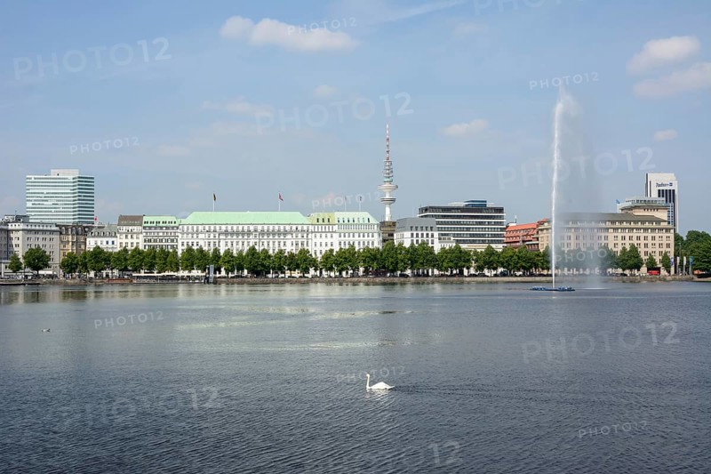 View over the Inner Alster Lake with Alster Fountain and an Alster swan towards the street of Neuer Jungfernstieg