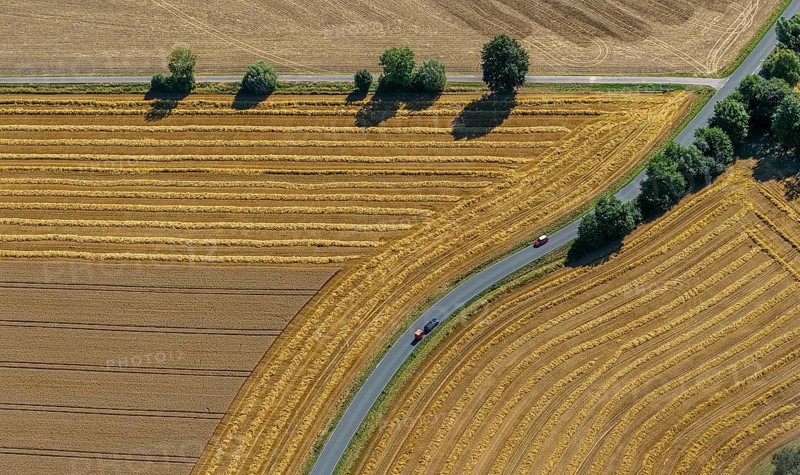 Harvested fields
