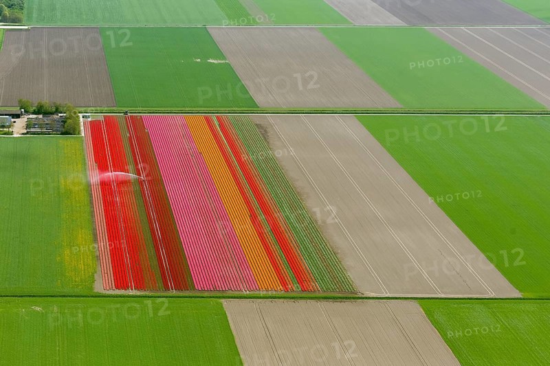 Field irrigation