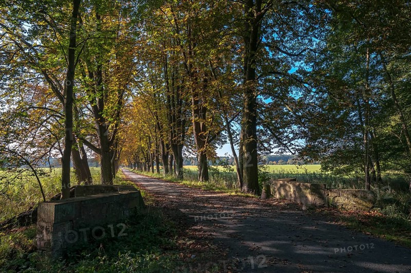 Autumn mood