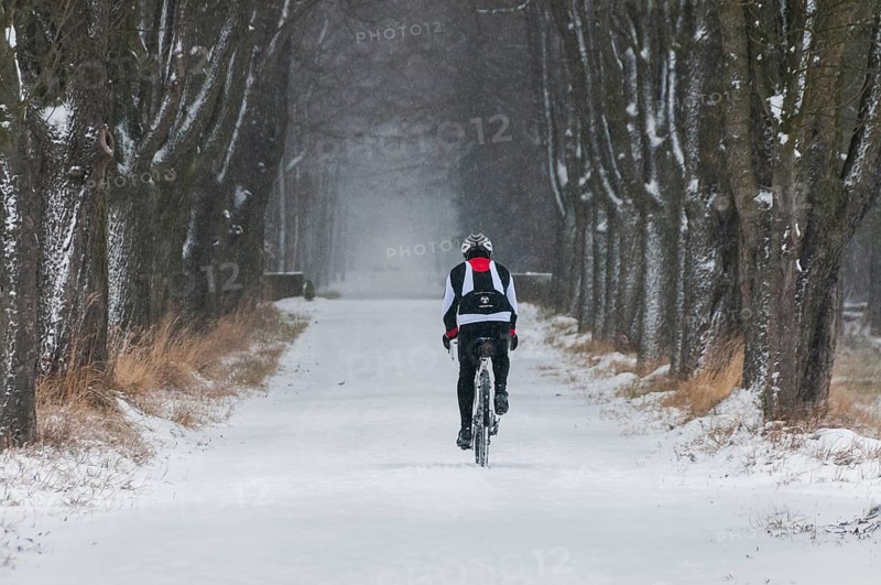 Mountain biker riding along a snowy tree-lined avenue