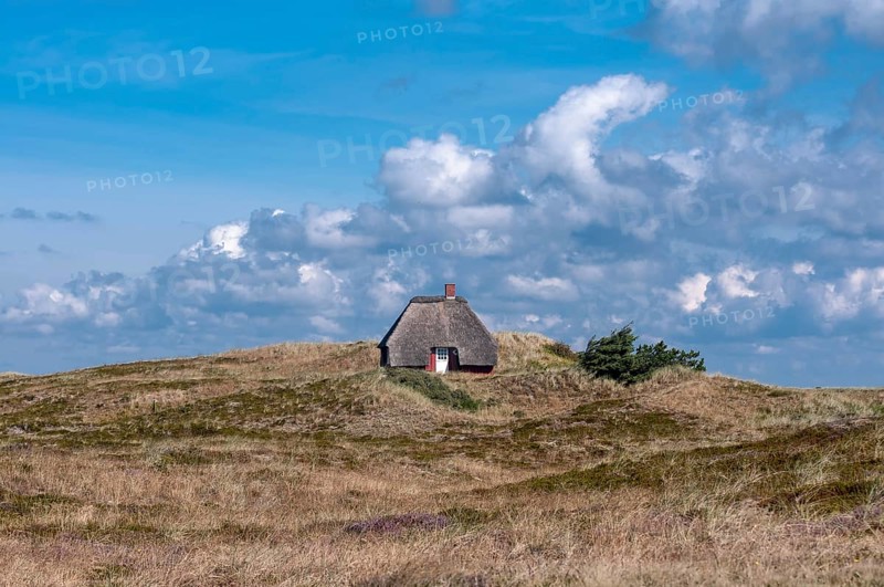 Thatched holiday cottage in dune landscape