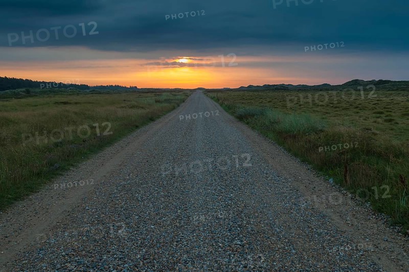 Morning mood over a gravel road through heathland