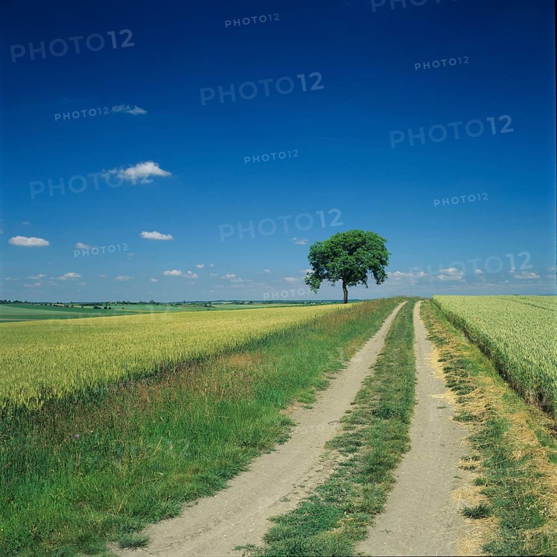Track through fields