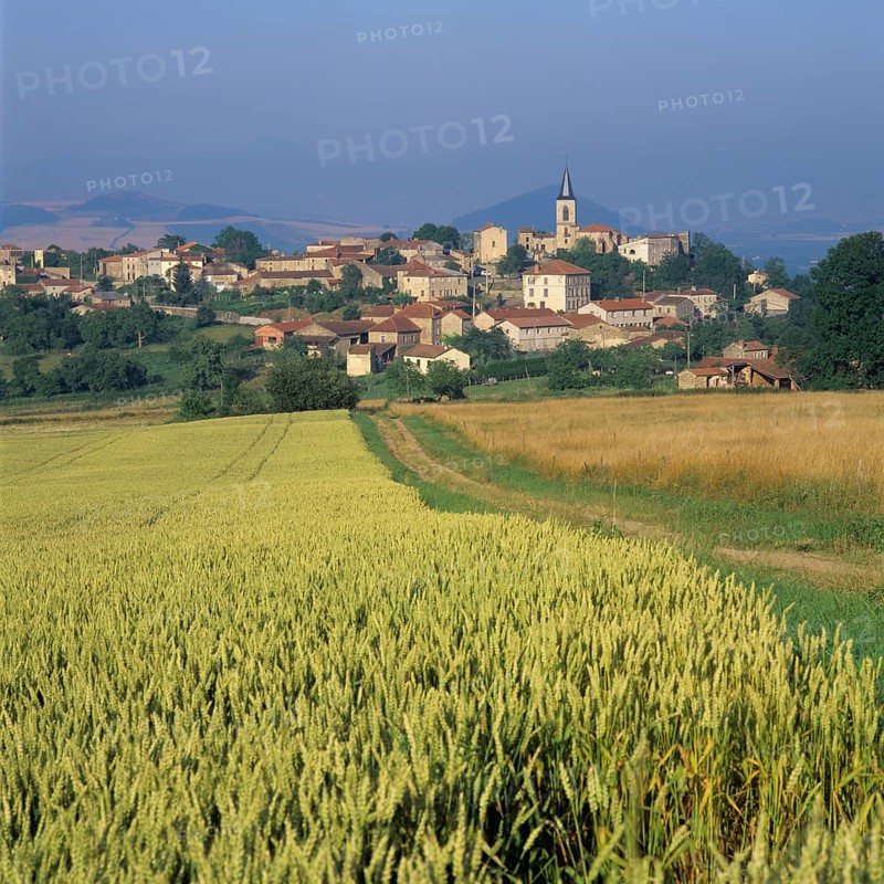 Agricultural landscape and village of Egliseneuve