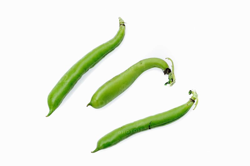 Broad beans or fava beans (Vicia faba)