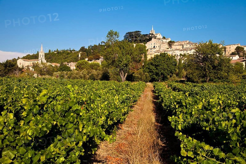 Townscape of Bonnieux