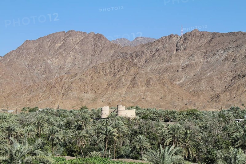 Bithnah Oasis with the Old Fort