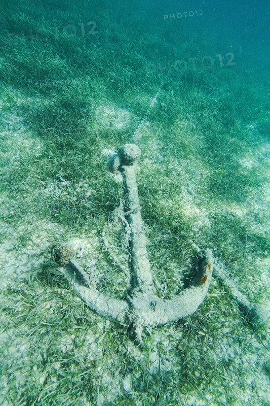 Rusted and overgrown anchor on the seabed