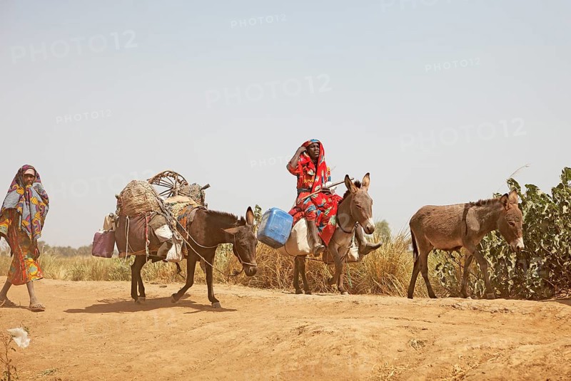 Choa nomads with donkeys at Maga Dam