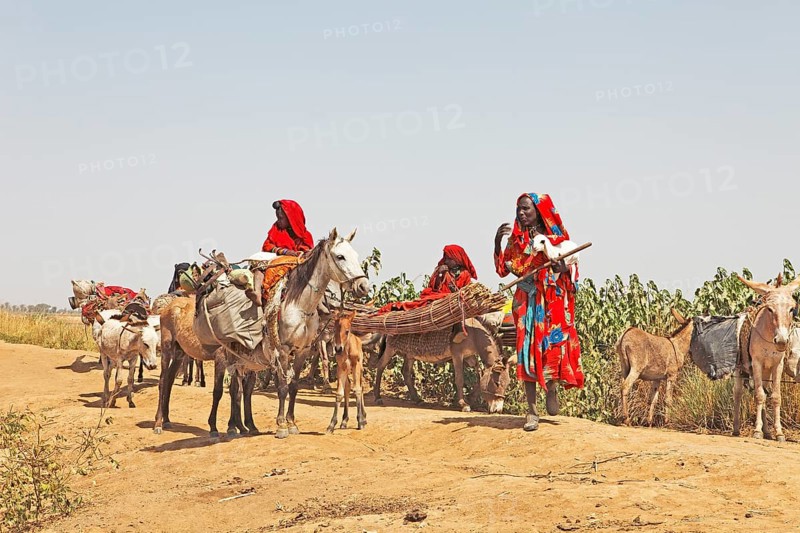 Choa nomads with donkeys and horses at Maga Dam