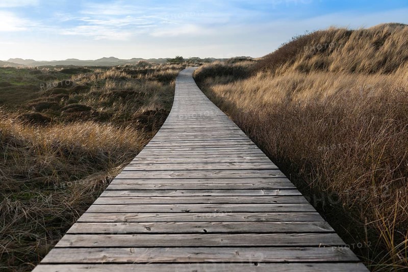 Boardwalk through Amrum Dunes Nature Reserve