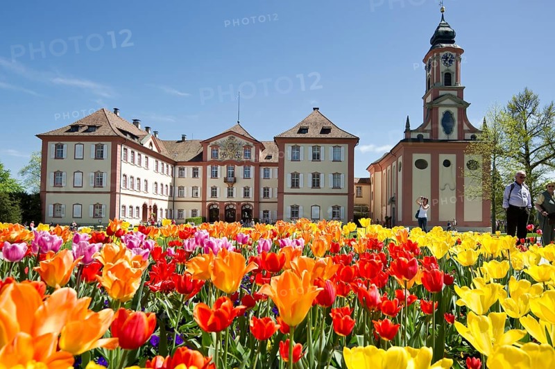 Schloss Mainau Castle and a colourful tulip field