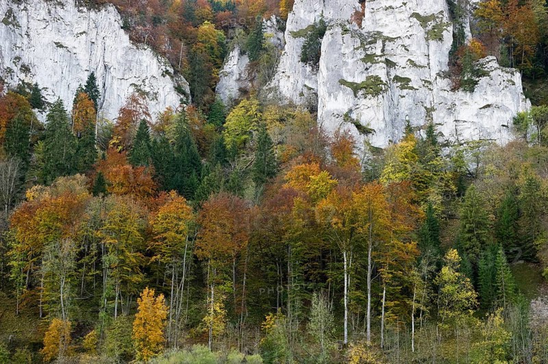 Upper Danube Valley near Gutenstein