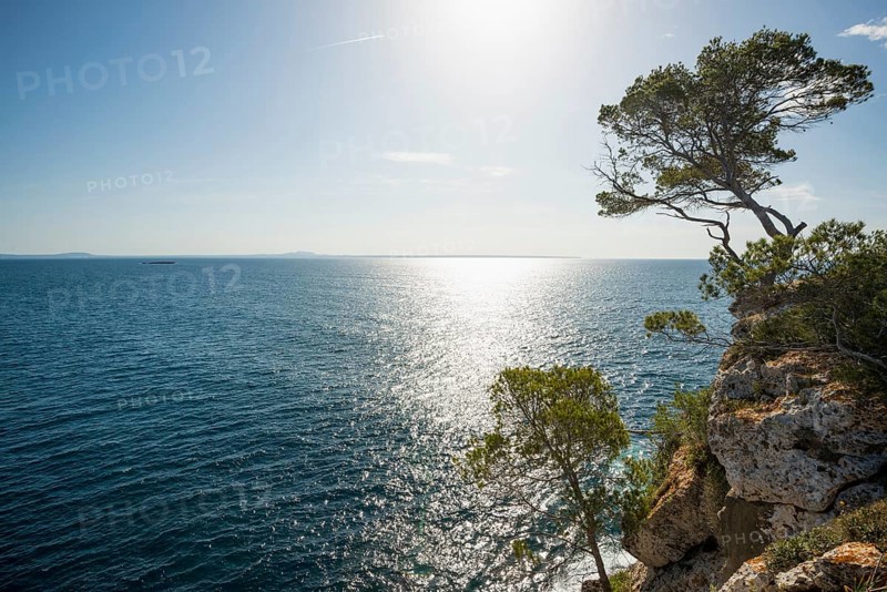 Rocky coastline with the sea and pine trees