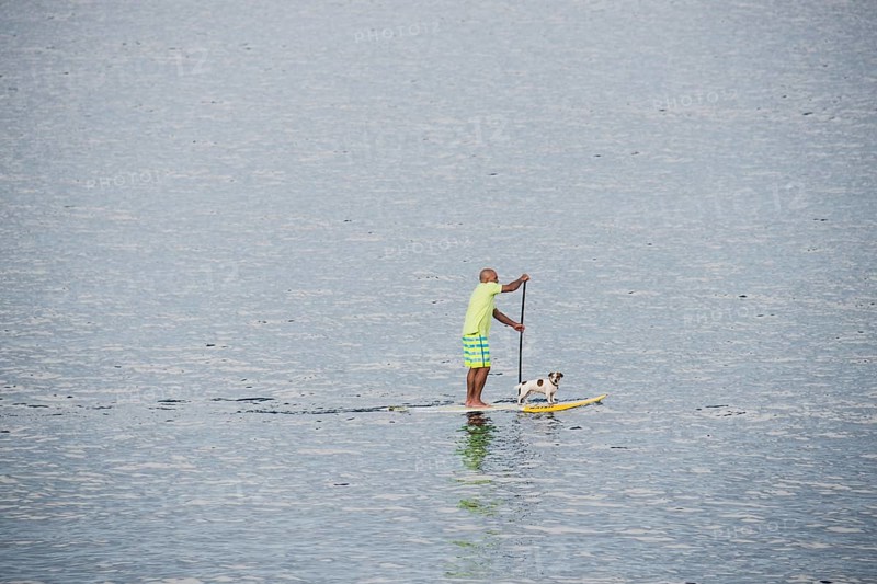 Stand-up paddler with dog