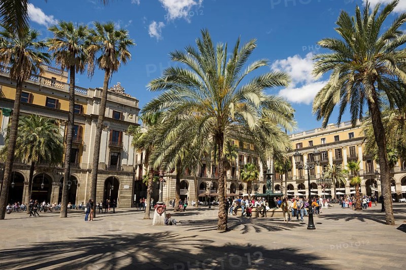 Placa Reial