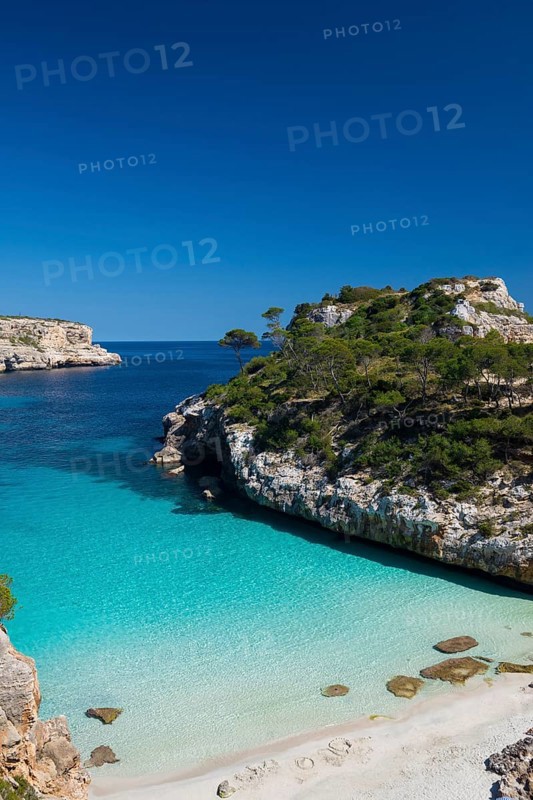 Bay with a sandy beach and pine trees