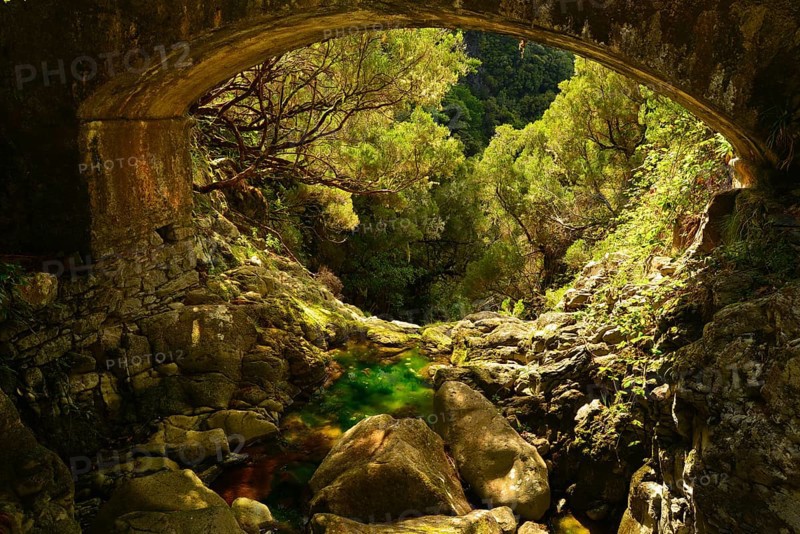 An almost dried out stream runs underneath a bridge and disappears in the forest-clad valley below