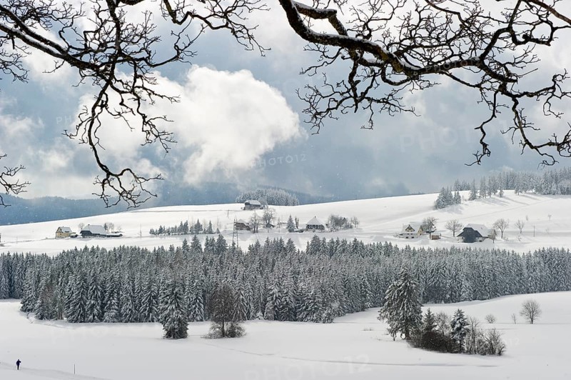 Snow-covered winter landscape