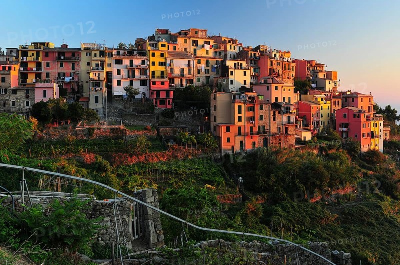 The village of Corniglia with vineyards in the evening light