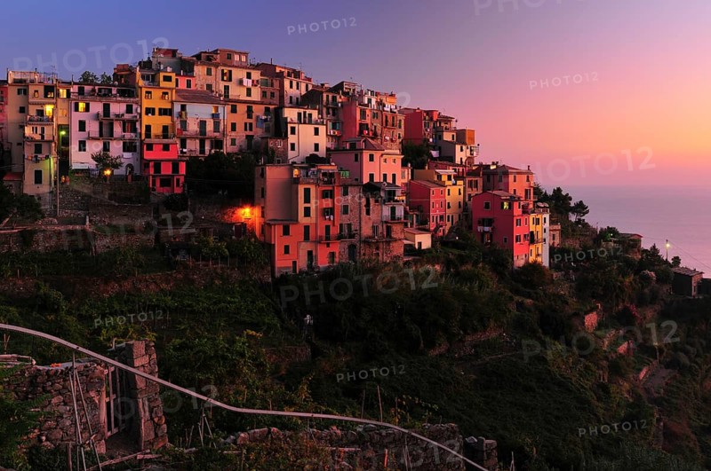 The village of Corniglia with vineyards in the evening light