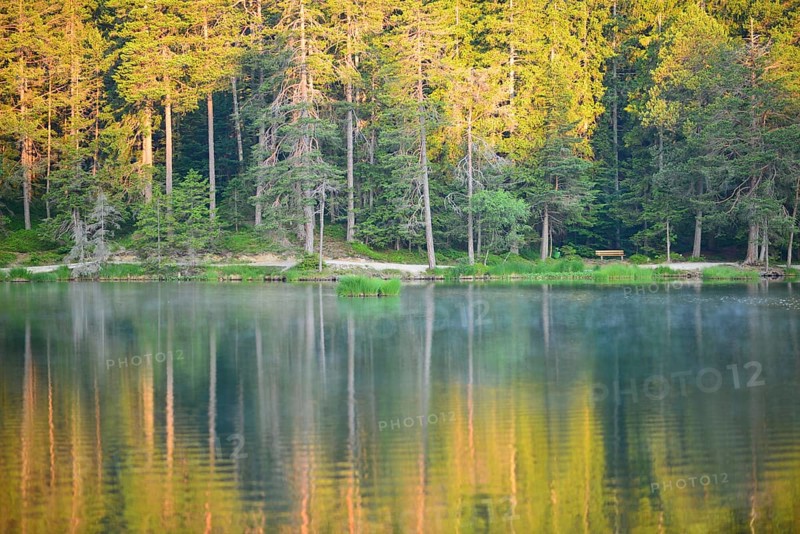 Conifer forest reflected in lake Moserer See in the morning light