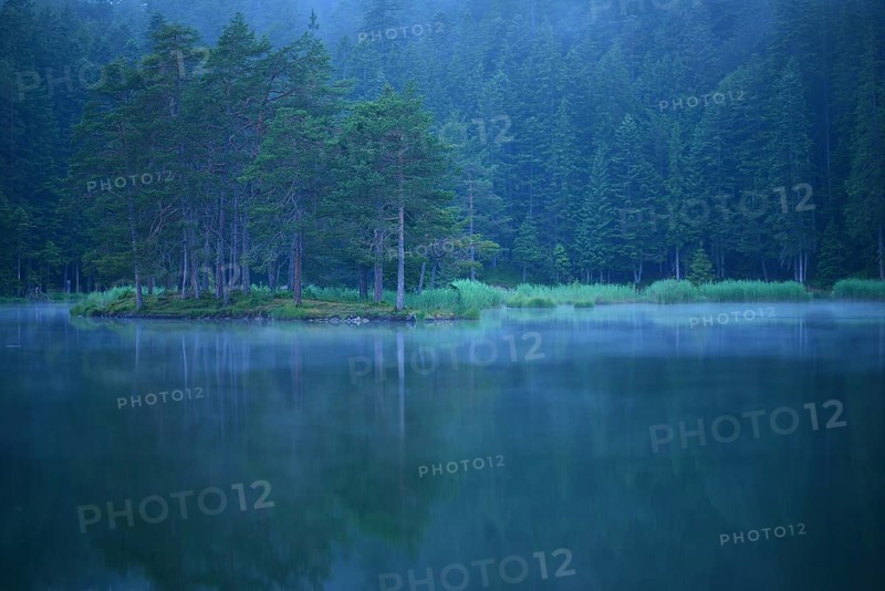 Conifer forest on lake Moserer See in mist
