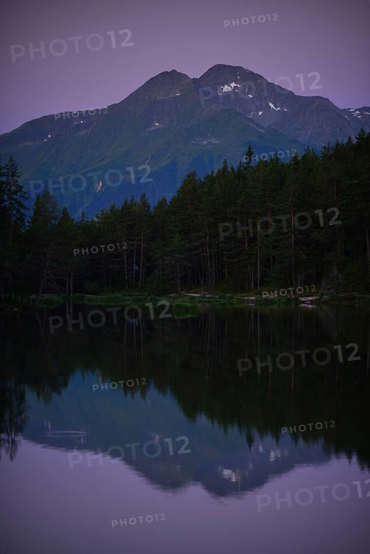 Conifer forest on lake Moserer See
