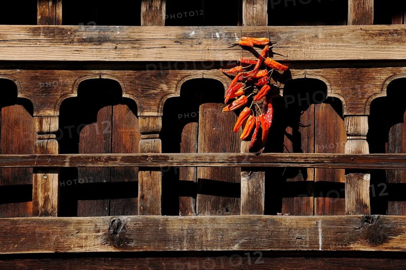 Chili peppers hanging out to dry